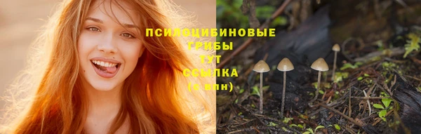 марки nbome Магас