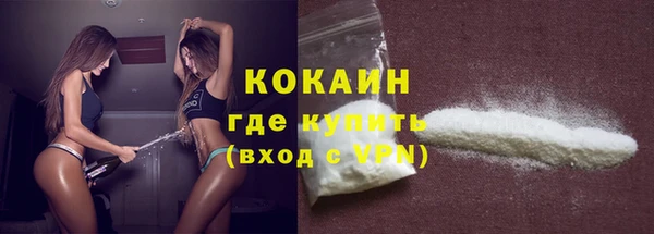 дживик Майский