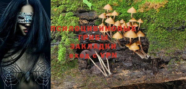 дживик Майский